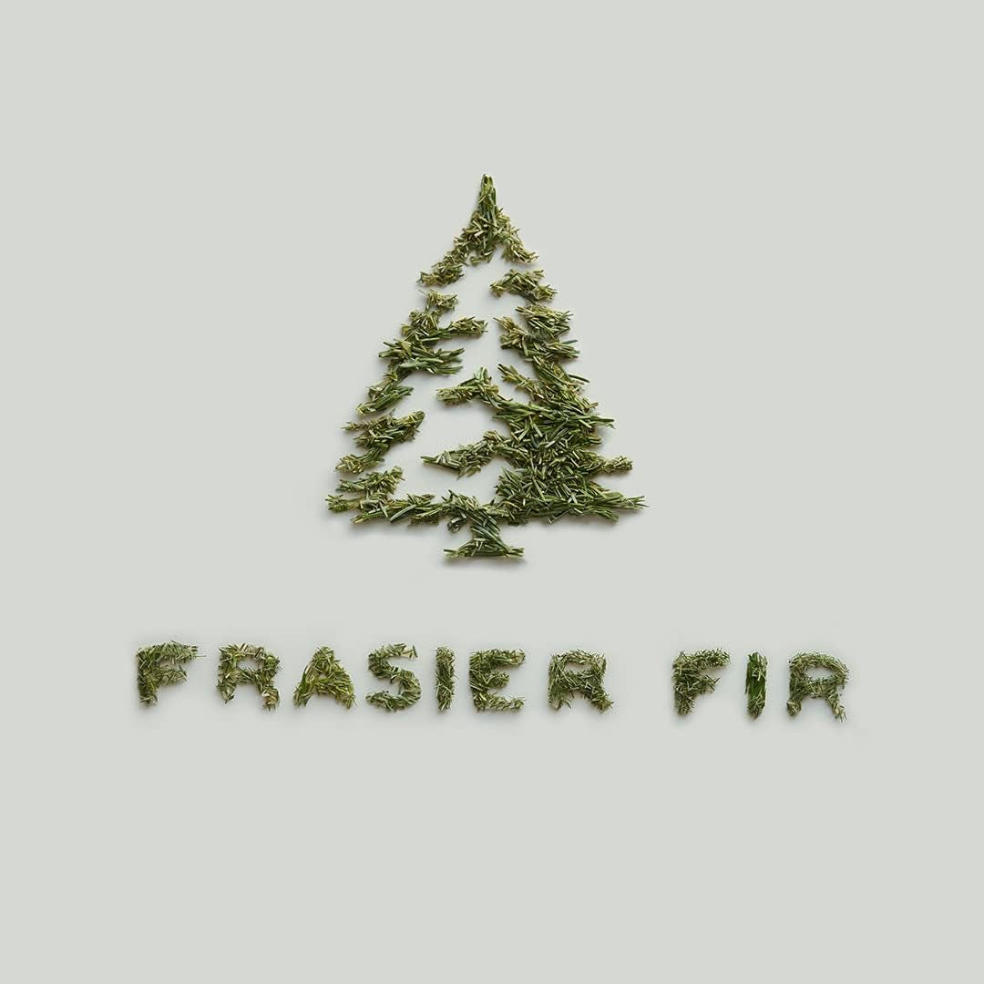 Frasier Fir Candle - Gilded Wood Grain Ceramic Jar Candles - Mountain Fresh Scented Candles - Elegant Holiday Candles - White Candles with 24-Karate Gold Rim - Single Wick (Petite, 6 Oz)