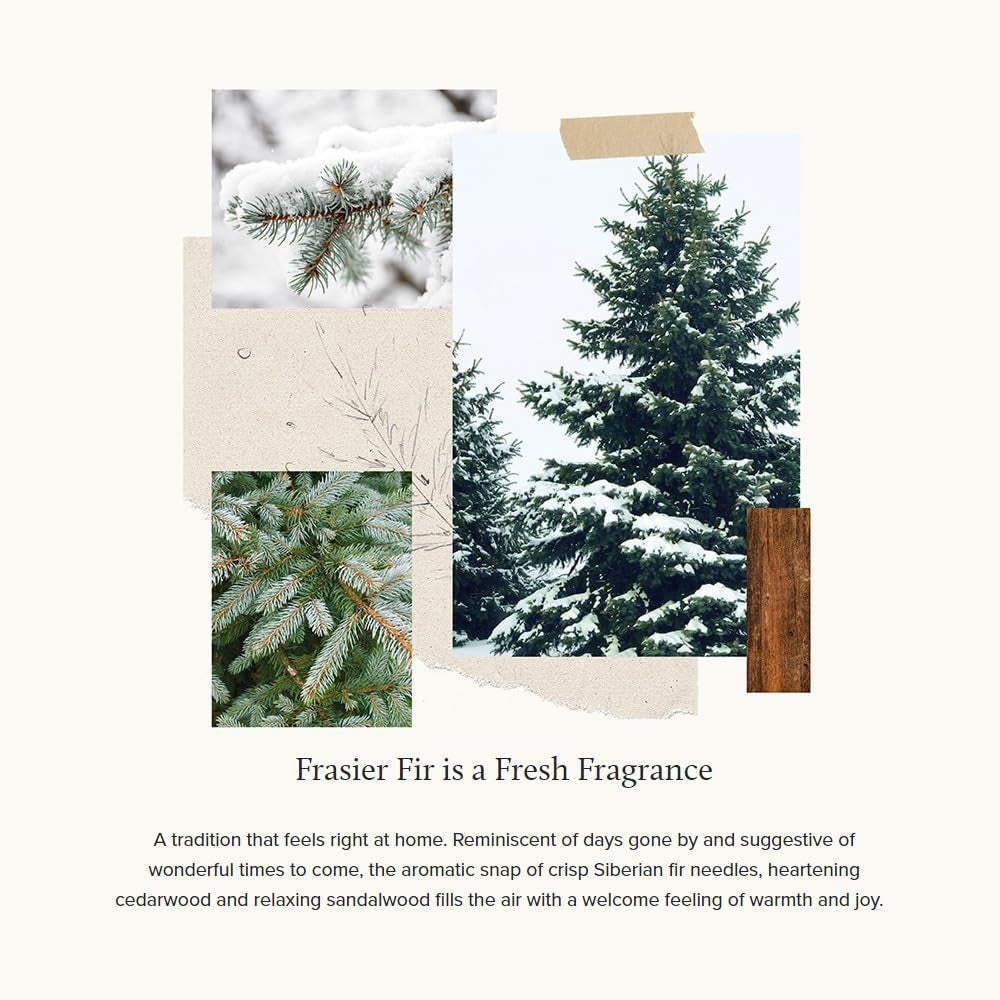 Frasier Fir Candle - Gilded Wood Grain Ceramic Jar Candles - Mountain Fresh Scented Candles - Elegant Holiday Candles - White Candles with 24-Karate Gold Rim - Single Wick (Petite, 6 Oz)