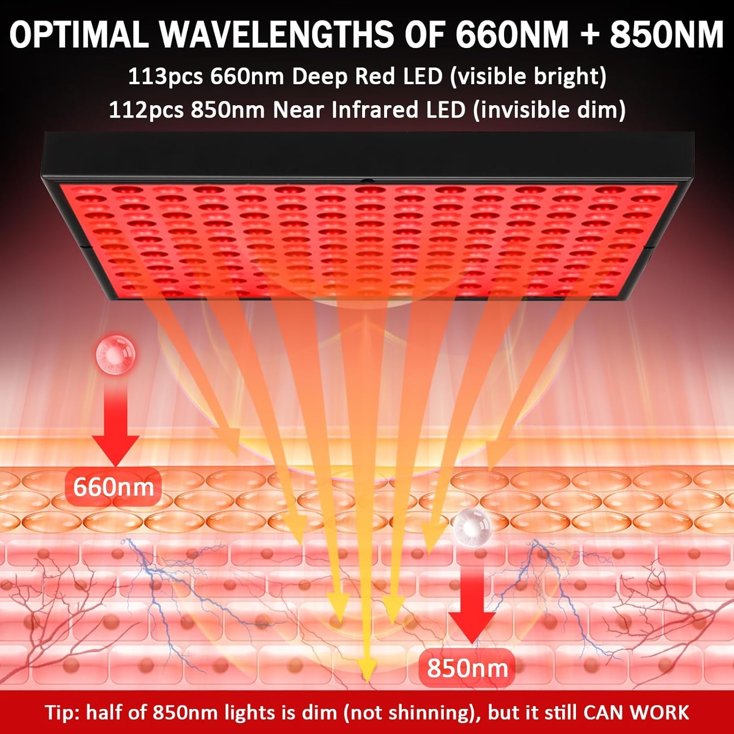 12.2" Squard Red Light Therapy for Face and Body, Adjustable Height Stand, 660Nm Red Light Therapy & 850Nm Infrared Light Therapy Device, Skin